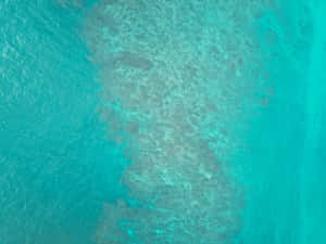 從高空俯瞰藍綠色海水，顯露出珊瑚礁圖案。 — 淺綠色系 壁紙