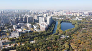秋季城市、建築物、樹木和湖泊的鳥瞰圖。 — 唐人街 壁紙