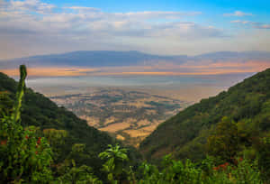 日出時恩戈羅恩戈羅火山口的全景，綠色的山丘和金色的平原。 — 湖泊 壁紙