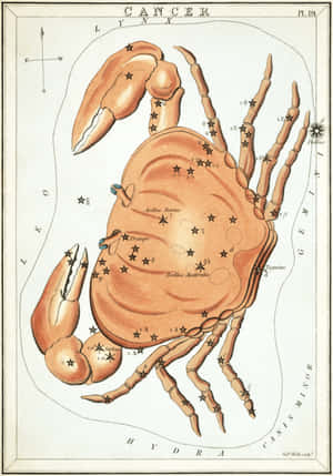 巨蟹座的復古插圖，形狀像螃蟹，帶有標記的星星。 — iPad 第10代 壁紙