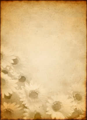 紋理紙張背景上的復古棕褐色雛菊 — Old Paper 壁紙