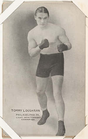 復古拳擊冠軍 Tommy Loughran 戴著手套和短褲，擺出戰鬥姿勢。 — 復古 壁紙