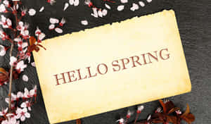 復古羊皮紙標誌寫著hello spring，周圍環繞著櫻花。 — 自然風景動圖 壁紙