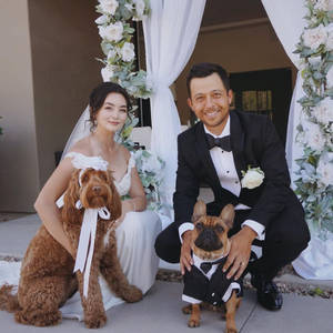 新娘和新郎與穿著婚禮服飾的狗在花拱門下。 — 婚禮 壁紙