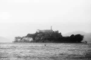 霧中的惡魔島監獄，一隻鳥在湍急的水面上飛翔。 — 舊金山 壁紙
