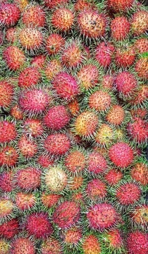 一堆帶刺的紅色紅毛丹，帶有綠色莖部。 — Tecno Megapad Pro 壁紙