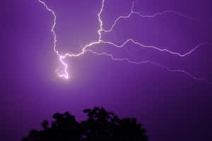 紫色暴風雨天空，明亮的閃電和樹木剪影 — 暗紫色美學 壁紙