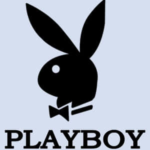 Playboy背景 — 花花公子 GIF 壁紙
