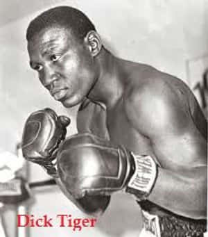拳擊手 Dick Tiger 戴著手套，準備在黑白照片中戰鬥。 — 底特律老虎 壁紙