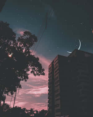 Tumblr 圖片 — 自然風景動圖 壁紙