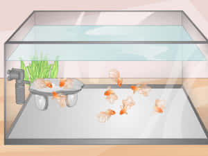 金魚在家用水族箱中與植物和過濾器一起游泳。 — 水族箱 壁紙