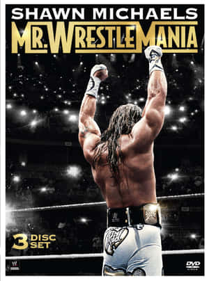 摔角手 Shawn Michaels 在擂台上高舉雙臂慶祝勝利。 — 摔角 壁紙