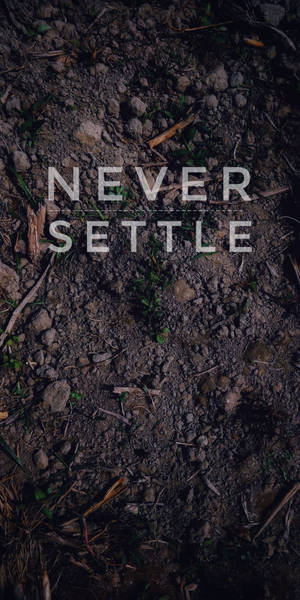 勵志文字 never settle 在帶有樹枝和嫩芽的深色泥土上。 — 永不妥協 壁紙