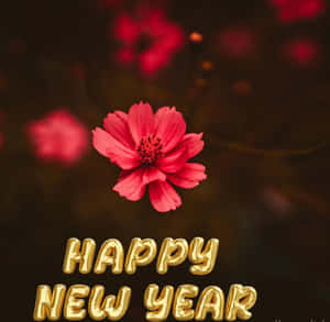 新年快樂圖片 — 新年快樂 壁紙