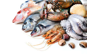各式新鮮海鮮包括魚、龍蝦、蝦和章魚，置於白色背景上。 — 海鮮 壁紙