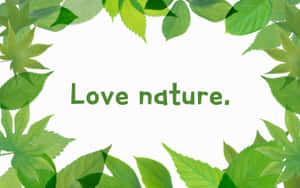 綠葉在白色背景上框住「Love nature」這句話。 — 森林湖泊 壁紙