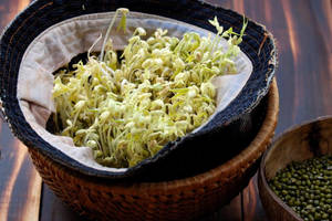 編織籃子裡的新鮮綠豆芽，旁邊有一碗種子。 — 蔬菜 壁紙