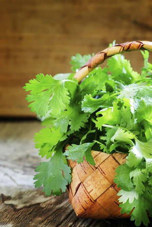 一個編織籃子裝滿新鮮綠色香菜，放在木桌上。 — 植物美學 壁紙