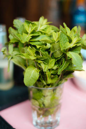 粉紅色表面上的玻璃花瓶內的新鮮薄荷，背景為模糊的酒吧。 — 秋季 iPhone 壁紙
