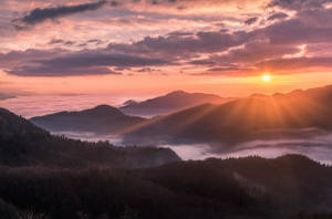 霧氣籠罩的山巒上日出，森林覆蓋的山坡和耀眼的光束。 — 自然風景動圖 壁紙