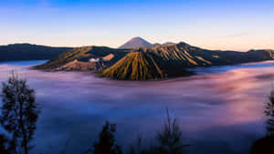 火山在日出時從霧海中升起，呈現紫色和藍色色調。 — 印尼 壁紙