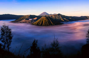 火山在日出時以紫色和藍色色調從霧海上升起。 — 印尼 壁紙