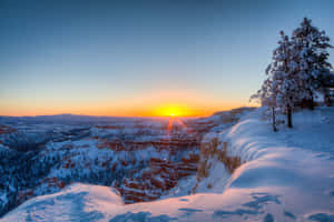日出時分的雪峽谷，有松樹和橙色天空 — 日落 壁紙