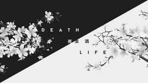 日式審美黑與死亡生命主題