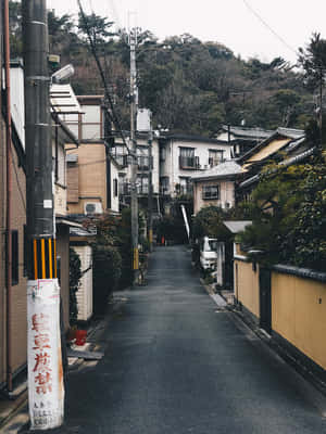 日本住宅區一條狹窄寧靜的街道，有傳統房屋和茂密的植被。 — 鄰里 壁紙