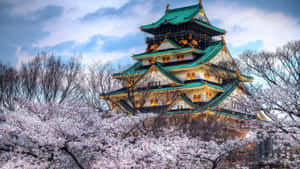 日本背景