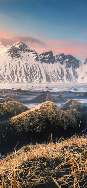 白雪山峰在冰凍海洋後方與金色草叢，日落 — iPhone 17 Pro Max 壁紙