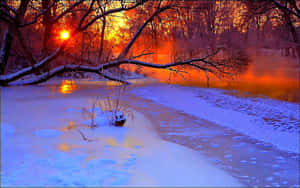 冬日夕陽下冰封的河流，積雪與光禿樹木反射出橙色光芒。 — 冬季風景 壁紙