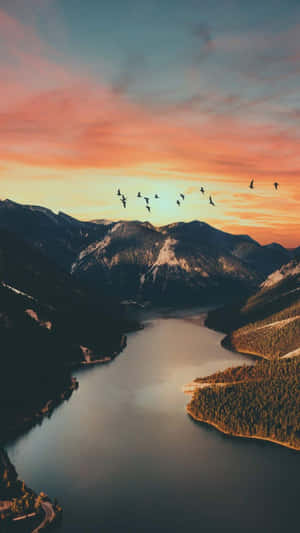 日落時分的山湖，鳥兒飛翔。 — 日落 壁紙