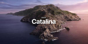 日落時海洋中的岩石島，粉紅和紫色的天空倒影。 — macOS Catalina 壁紙
