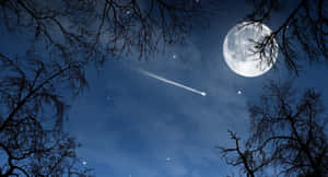 夜晚透過光禿的樹枝可見月亮和流星。 — 月落 壁紙