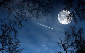 夜晚透過光禿的樹枝可見月亮和流星。 — 月亮與星星 壁紙