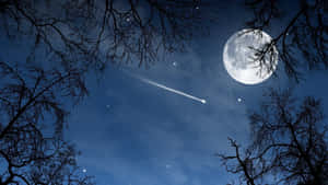 夜晚透過光禿樹枝可見的月亮和流星。 — 月光 壁紙