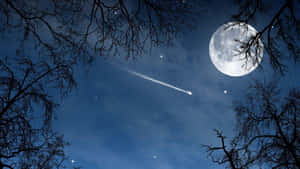 夜晚透過光禿樹枝可見月亮和流星。 — 夜空 壁紙