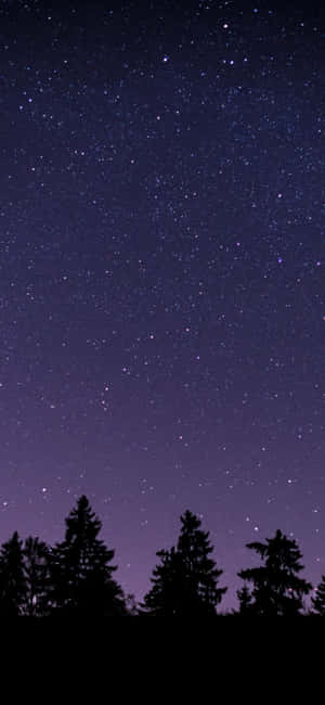 深色松樹在星空紫色夜空下呈現剪影。 — Galaxy S25 Edge 壁紙