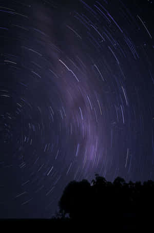 星軌在紫色夜空下，在黑暗的樹木剪影上方旋轉。 — 美學天空 壁紙
