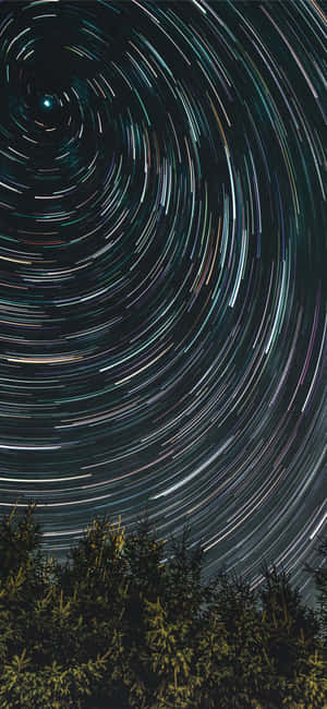 螺旋星軌在黑暗的松樹上方，夜空之下。 — Moto E15 壁紙
