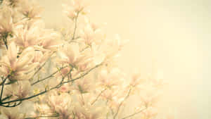 古典花卉背景 — 復古花卉 壁紙