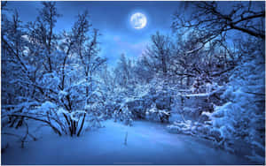 夜晚明亮的滿月下的雪森林。 — 月亮桌面 壁紙
