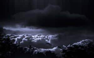 月光照亮的黑暗風暴雲層在夜晚的樹木剪影之上。 — 2880x1800 壁紙