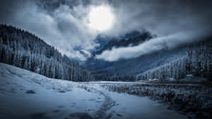 夜晚積雪的山谷，月光下的松樹和小徑上的腳印。 — 冬季風景 壁紙