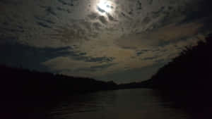 月光照耀的河流，被黑暗森林包圍，在多雲的夜空下 — 黑夜 壁紙
