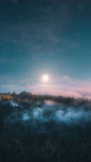 月光照耀的森林山谷，霧氣瀰漫，鳥群在星空下飛翔。 — 暮光 壁紙