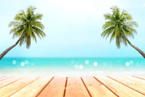 熱帶海灘上的木製甲板，有棕櫚樹和藍綠色海洋。 — 海灘 壁紙