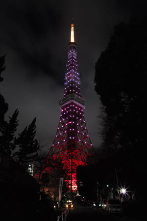 東京塔在夜晚被紅光和紫光照亮，周圍環繞著樹木。 — 東京鐵塔 壁紙