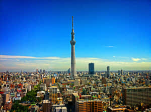 東京晴空塔在晴朗的藍天下，聳立於密集的城市景觀之上。 — 東京 壁紙